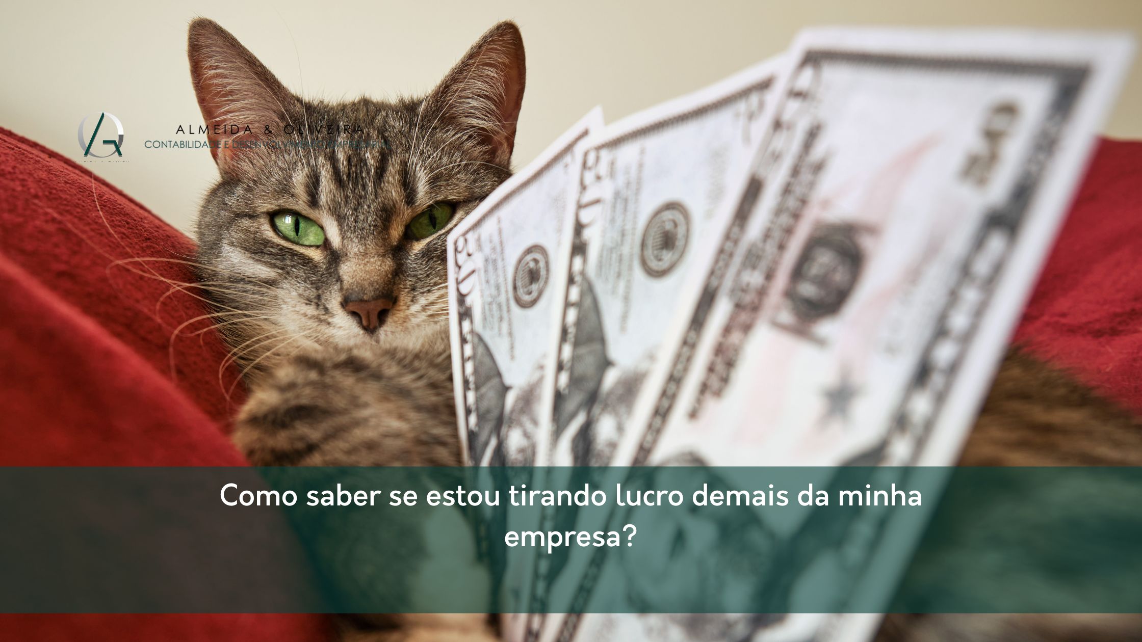 Entenda como a distribuição de lucros e o ponto de equilíbrio econômico protegem o caixa e garantem decisões seguras.